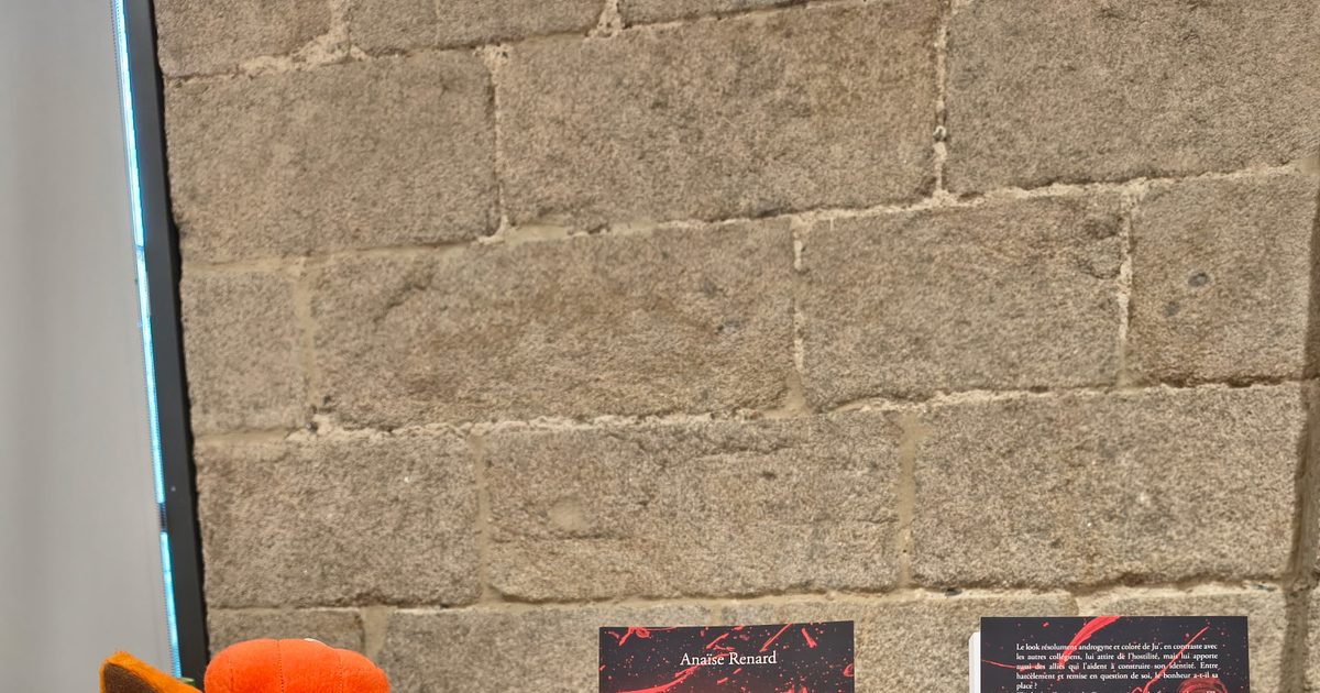 salon du livre secours populaire 2026