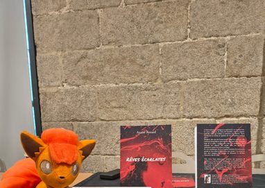 salon du livre secours populaire 2026
